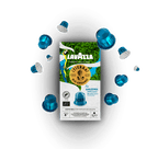 ¡Tierra! for Amazzonia